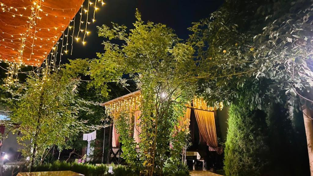Green House Eco Hotel سمرقند المظهر الخارجي الصورة